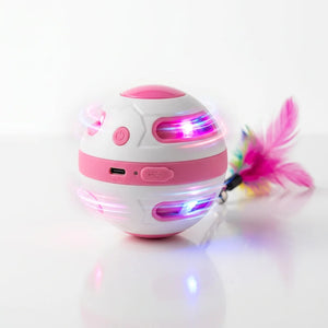PAKCH Smart 2-Pack USB Rechargeable Auto Spinning Cat Ball - Interactive Intelligent Rolling Toy for Indoor Kittens - Professional Pet | PAKCH Pet Supplies
